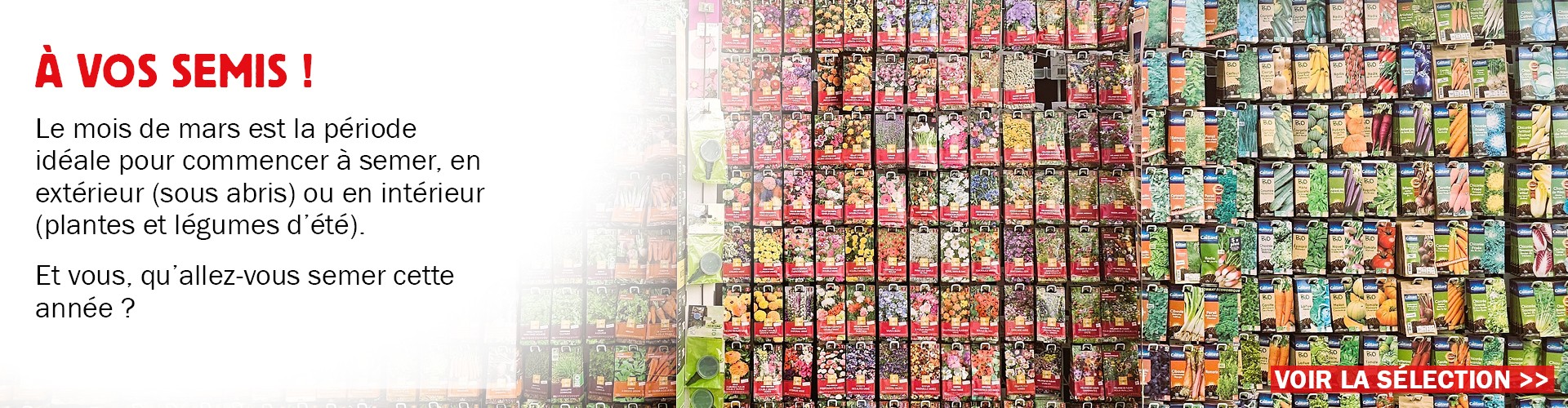 Le mois de mars est la période idéale pour commencer à semer, en extérieur (sous abris) ou en intérieur (plantes et légumes d’été). Et vous, qu’allez-vous semer cette année ?